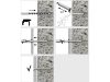 7,5x100 mm süllyesztett fejű betoncsavar,horg., furat:6 mm,CE-ETA